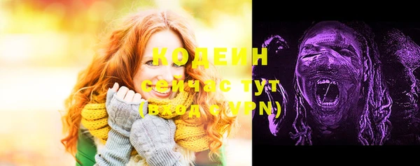 хмурый Волоколамск