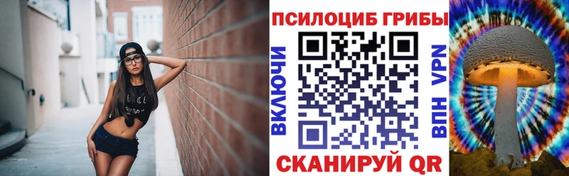 Галлюциногенные грибы Psilocybine cubensis  Ишимбай 